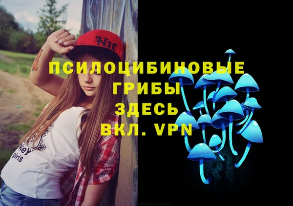 мдпв Остров