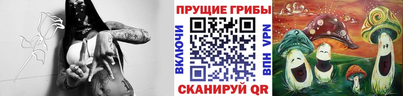 Галлюциногенные грибы Psilocybe  Тюкалинск 